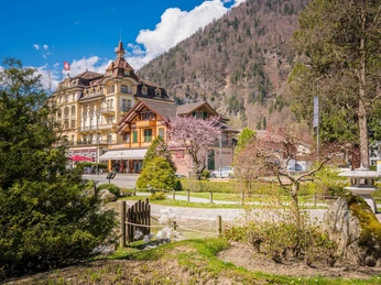 interlaken-japanischer-garten-fruehling