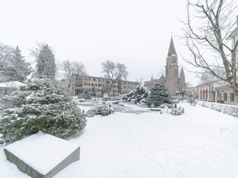 interlaken-japanischer-garten-winter-schnee
