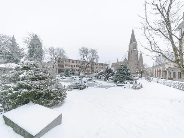 interlaken-japanischer-garten-winter-schnee