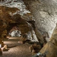 Aggertalhöhle Steinige Höhle mit beleuchtetem, gewundenem Pfad. Wände aus braunen und grauen Felsen mit Textur.