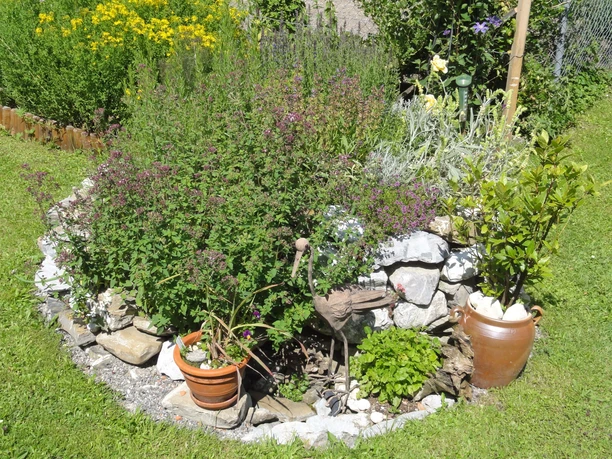 Vielfältiger Kräutergarten