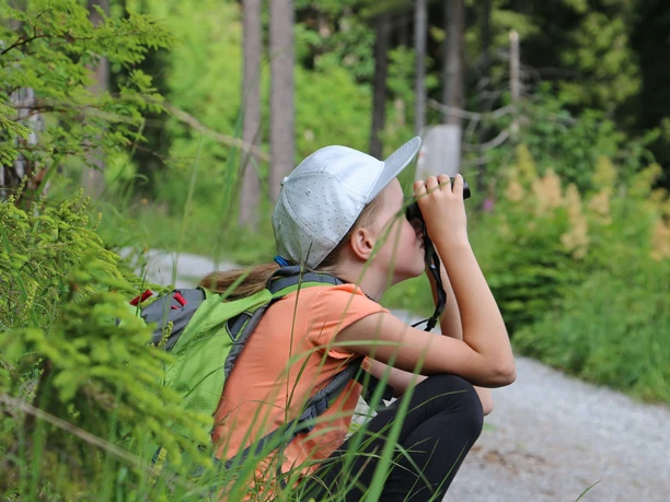 Eine ruhige Hand und Geduld sind gefragt Mit einem Fernglas die Steinbockkolonie beobachten