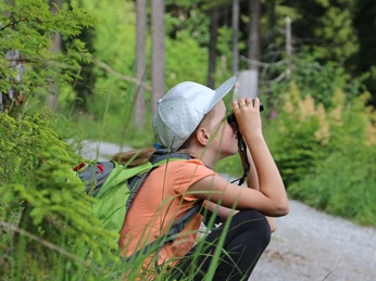 Une main ferme et de la patience sont nécessaires Mit einem Fernglas die Steinbockkolonie beobachtenObserving the ibex colony with binocularsObserver la colonie de bouquetins à l'aide de jumelles