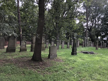 Historischer jüdischer Friedhof mit alten, von Bäumen umgebenen Grabsteinen und grüner Rasenfläche.