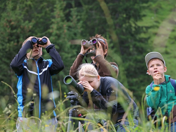 A l'aide du télescope, tu découvriras peut-être un chamois ou un bouquetin. Des gens se tiennent dans une prairie et observent avec des jumelles
