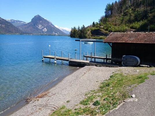 leissigen-bootswerft-wilke-sommer-thunersee