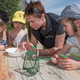 Research and discover with magnifying glasses and fishing nets