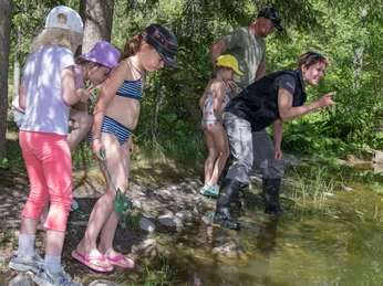 Aperçu intéressant sur les petits organismes aquatiques