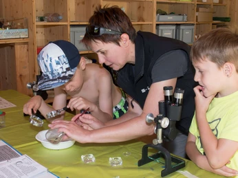 Les petits êtres vivants sont examinés à la loupe dans la cabane du chercheur
