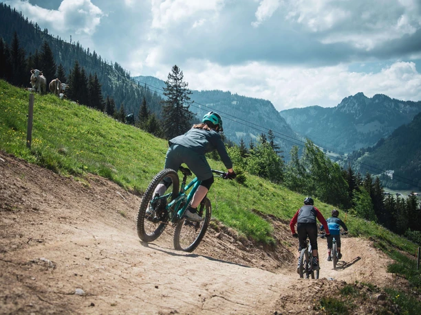 Drei Mountainbiker fahren den Trail hinunter