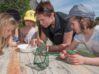 Explorer et découvrir avec des loupes à bec et des filets de pêche