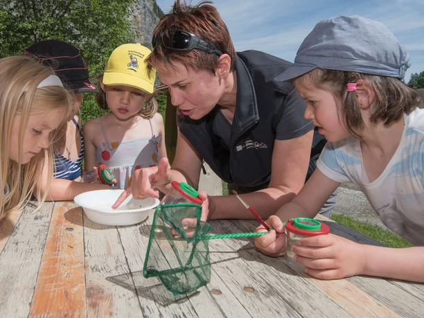 Explorer et découvrir avec des loupes à bec et des filets de pêche
