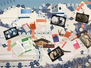 playing-field-wild-in-the-snow