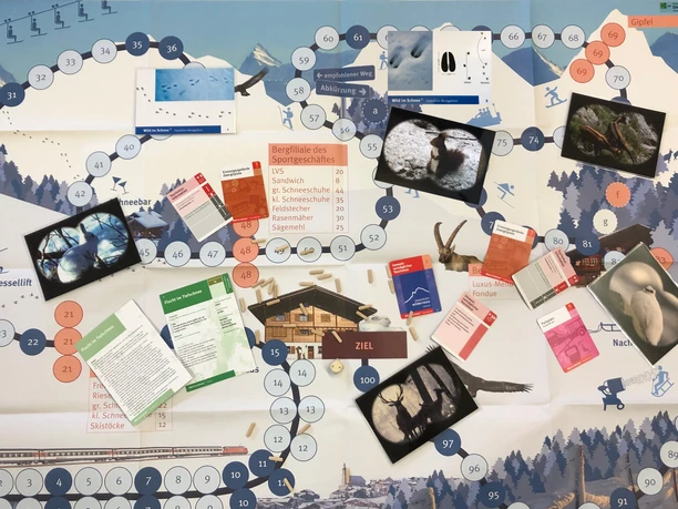 spielfeld-wild-im-schnee