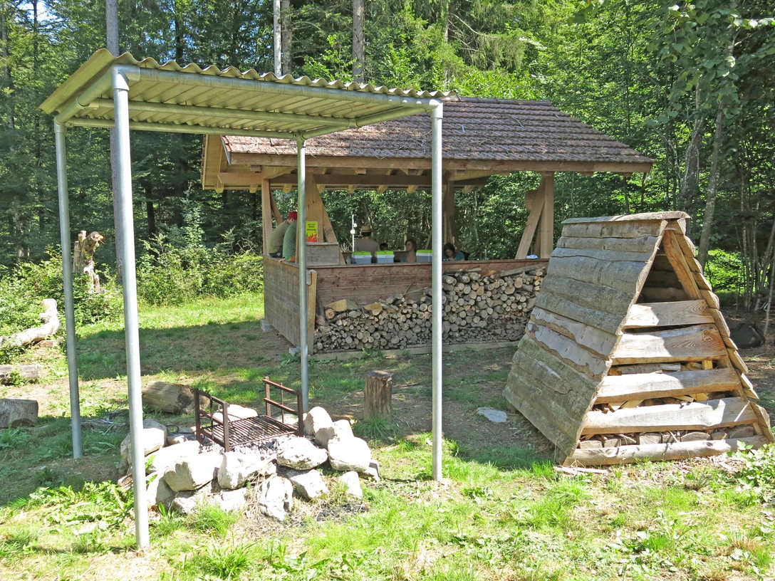 Fireplace with sufficient firewood