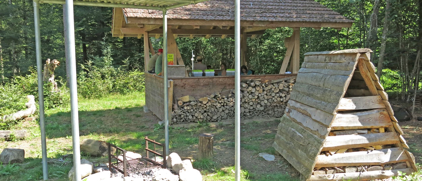 Fireplace with sufficient firewood