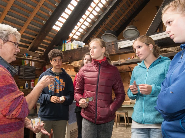 Die Älplerin erklärt den Teilnehmenden Schritt für Schritt die Käseherstellung