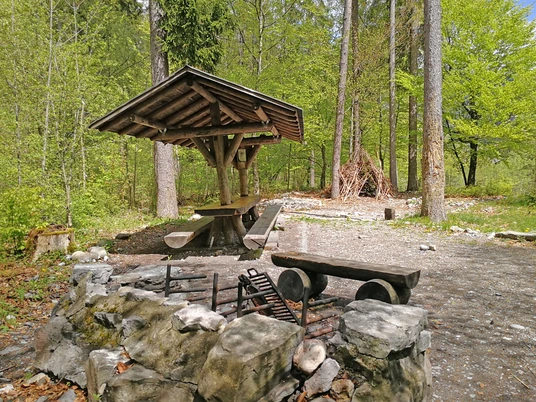 Fireplace in the forest with firewood