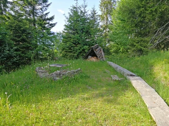 Petit foyer entouré d'arbres