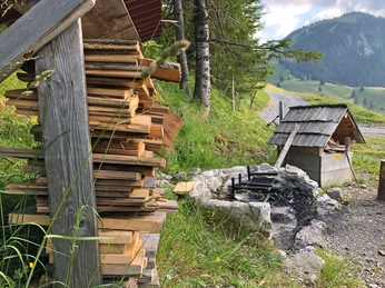 Suffisamment de bois de chauffage est disponible