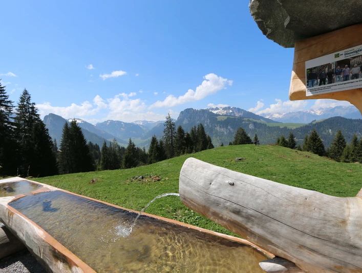 Rafraîchis-toi avec l'eau fraîche de source de montagne de la fontaine «Schwingerbrunnen»