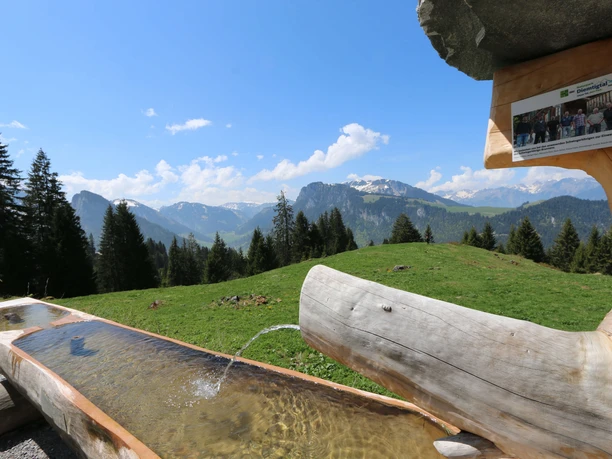 Swiss wrestling fountain with a panoramic view in the background