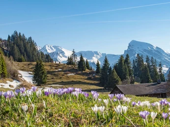 Springtime panoramic view on the Schwinger Trail (Schwingerweg)