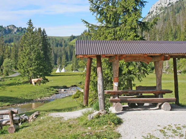 Des tables et des chaises à l'abri, entourées de prairies et de sapins