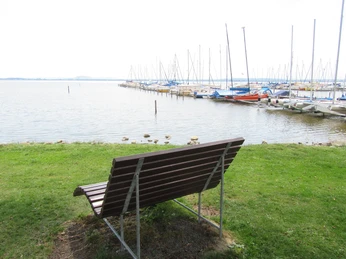 Picknickplatz auf bzw. an der Liegebank Fischerstübchen Eine Bank mit Blick auf einen ruhigen See und einen anliegenden Yachthafen voller Segelboote.