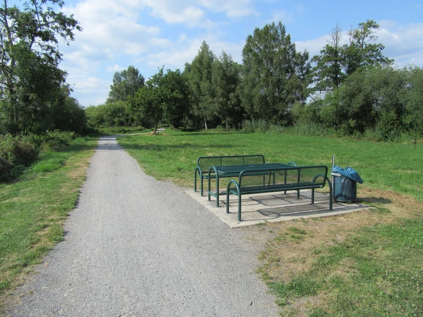 Picknickplatz mit Bänken und Tisch an einem sonnigen, grasbewachsenen Weg mit umliegenden Bäumen.