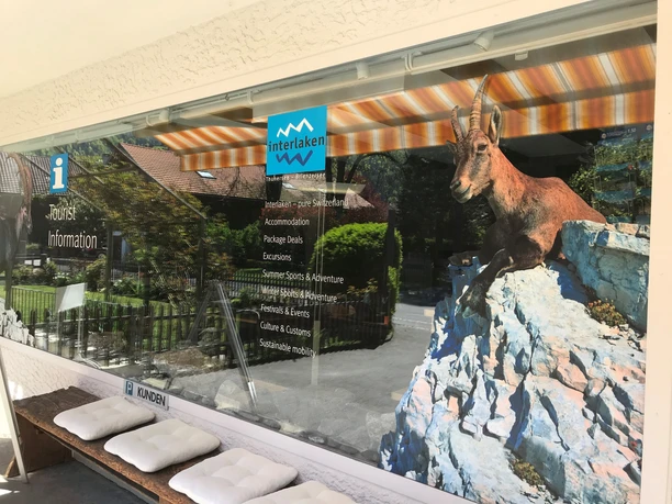 tourist-info-wilderswil-fenster