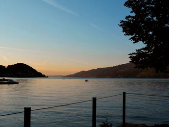 faulensee-sommer-blue-turtle-abend-sonnenuntergang