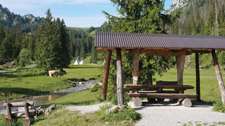 naturpark-diemtigtal-feuerstelle-menigboden