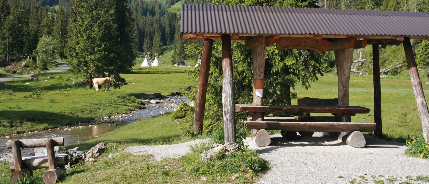 naturpark-diemtigtal-feuerstelle-menigboden