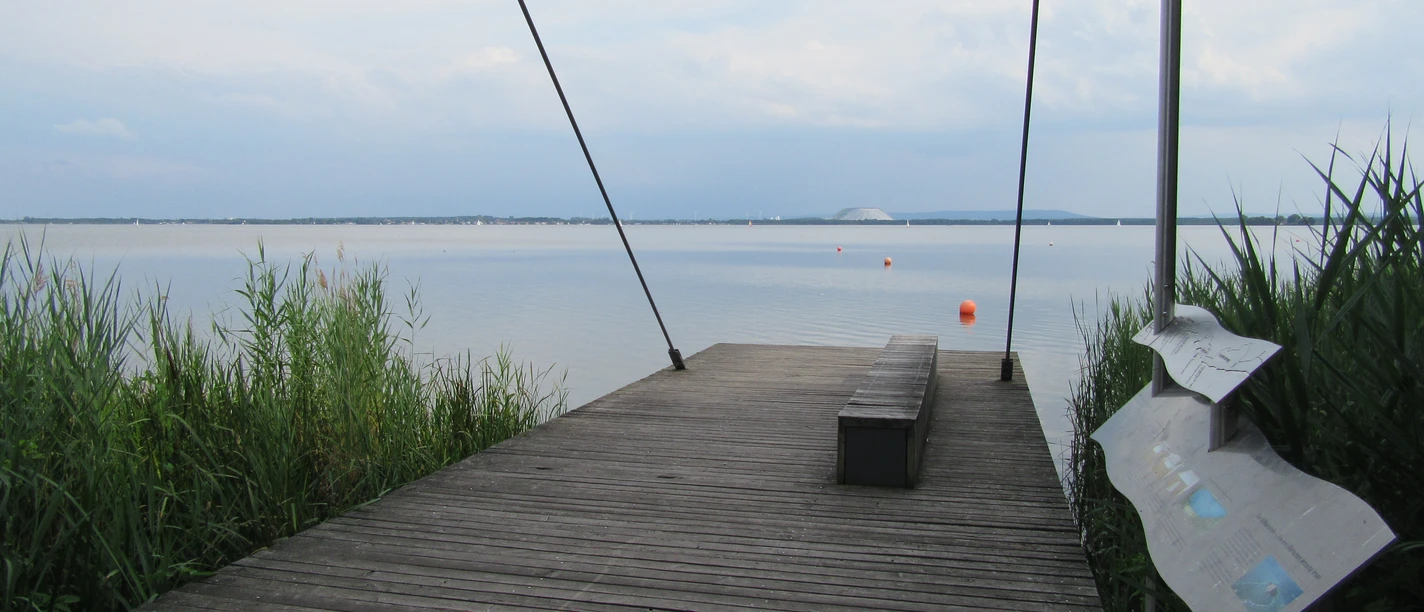 Wooden jetty on the water with a calm lake landscape, surrounded by reeds and a slightly cloudy sky.