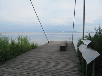 Holzsteg am Wasser mit ruhiger Seelandschaft, umgeben von Schilf und leicht bewölktem Himmel.
