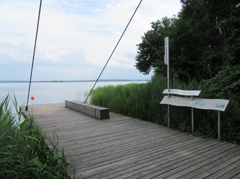 Holzterrasse mit Bank am Steinhuder Meer, umgeben von Schilf, mit Blick auf das Wasser.