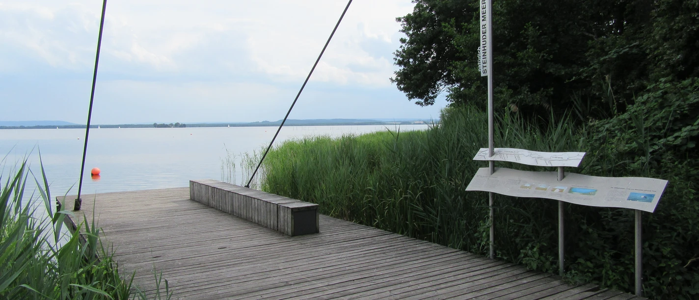 Picknickplatz Sehbrücke Mardorf Holzterrasse mit Bank am Steinhuder Meer, umgeben von Schilf, mit Blick auf das Wasser.