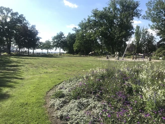 Weitläufige grüne Wiese mit Blumenbeet im Vordergrund, Bäume und Meer im Hintergrund bei klarem Himmel.