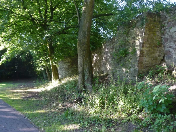 Stadtmauer mit Bewuchs und angrenzendem Baumbestand