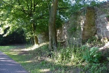 stadmauer-stephanberg Stadtmauer mit Bewuchs und angrenzendem Baumbestand
