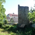 Historischer Stadtturm mit angrenzendem Baumbestand und historischer Bebauung