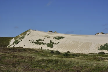 Wanderdüne