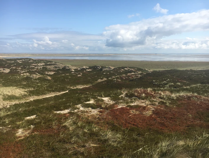 Blick auf den Königshafen