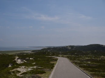 Der Weg auf die Aussichtsdüne vom Ellenbogen aus