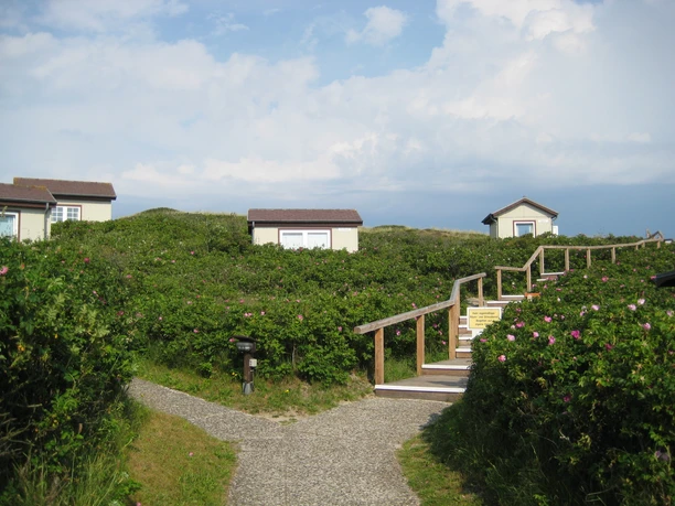 Die kleinen Wohnhäuser der Akademie am Meer
