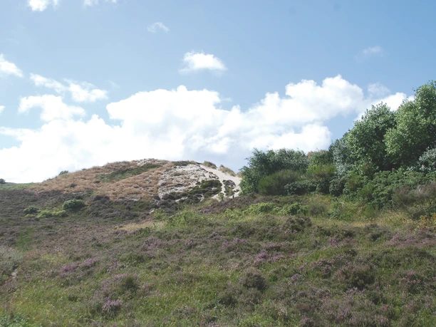 Der Friedhof liegt idyllisch in den Dünen
