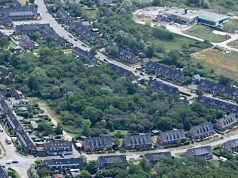 Der Lister Urwald aus der Vogelperspektive Blick von oben auf den Lister Urwald
