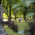 hx-stadtentdecken-andreashub-7 Pärchen auf dem lichtdurchfluteten und mit Bäumen bewachsenem Friedhofswall mit großem Sandsteinkreuz