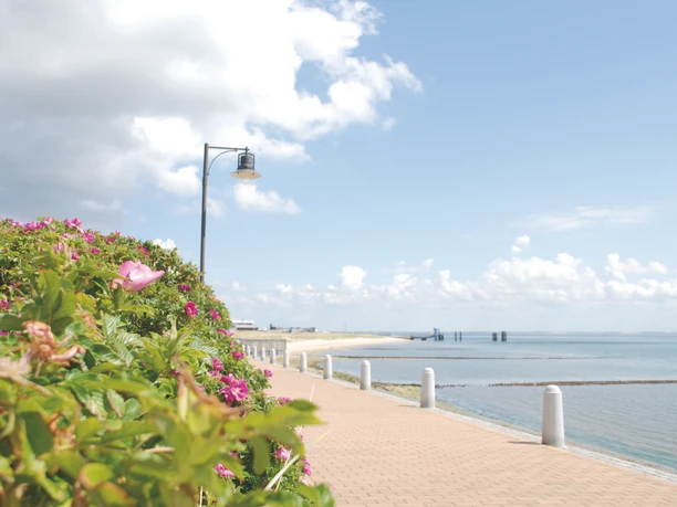 Blick auf den Fähranleger